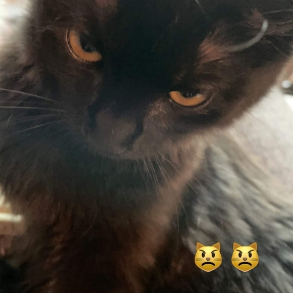 Fluevog Jolie Boots - Picture 10 of 10